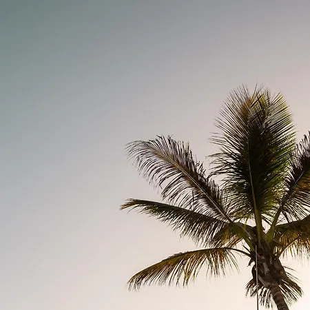 Moderno Piso En Palmas De Gran Canaria Las Palmas