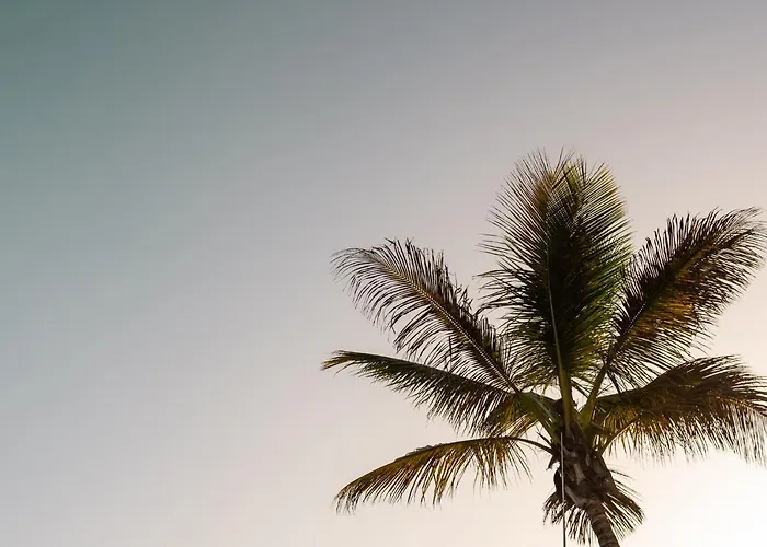 Moderno Piso En Palmas De Gran Canaria Λας Πάλμας ντε Γκραν Κανάρια